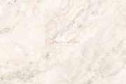 Gạch Ốp Lát APODIO A48SB802